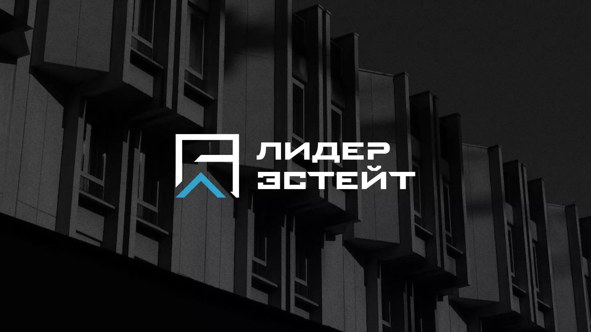 Разработка логотипа агентства недвижимости «Лидер Эстейт» в Севске